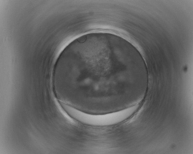 X0000092031533200709201602