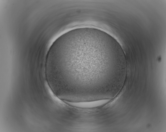 X0000092031534200709201602