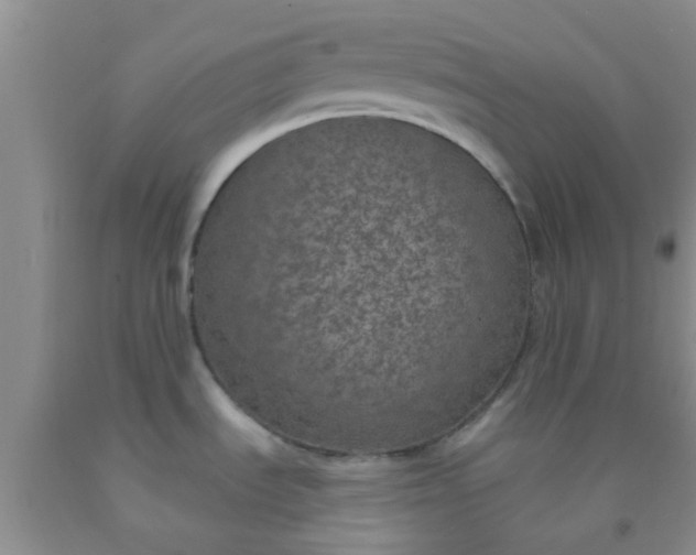 X0000092031535200709201602