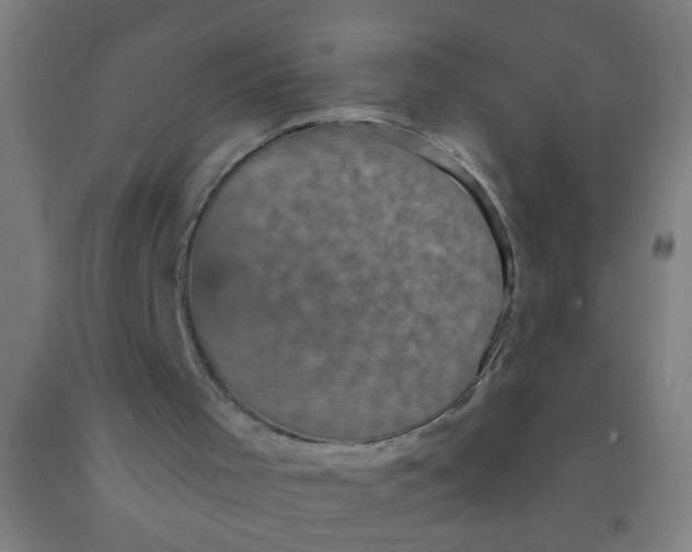 X0000092030001200709271618