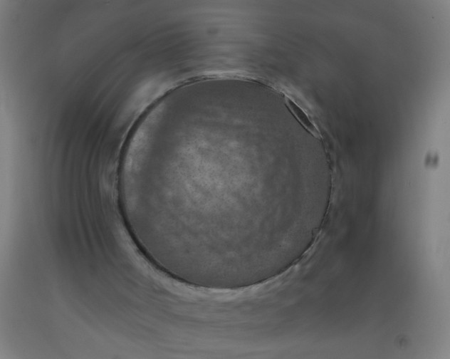 X0000092030002200709271618