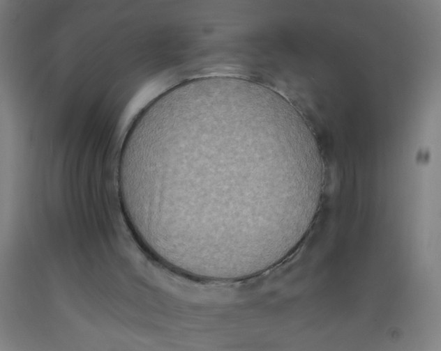 X0000092030004200709271618