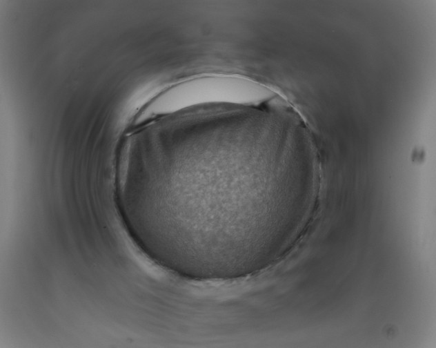 X0000092030005200709271618