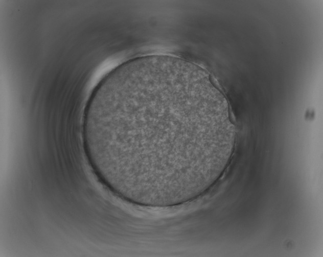 X0000092030006200709271618