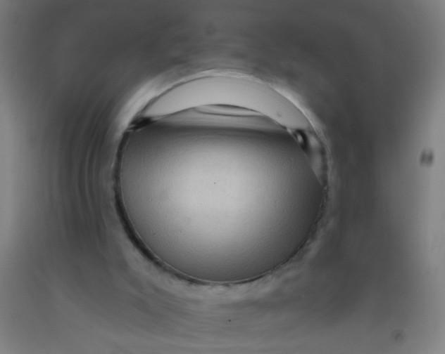 X0000092030007200709271618