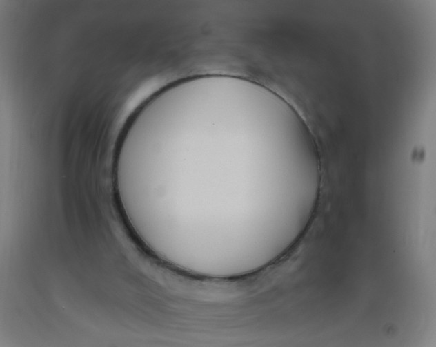 X0000092030008200709271618