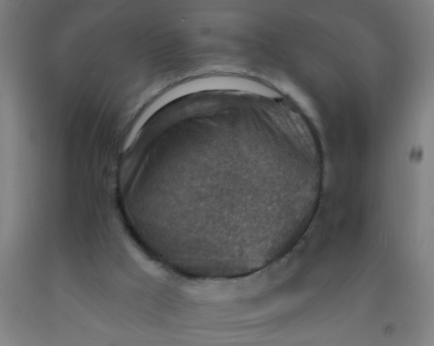 X0000092030009200709271618