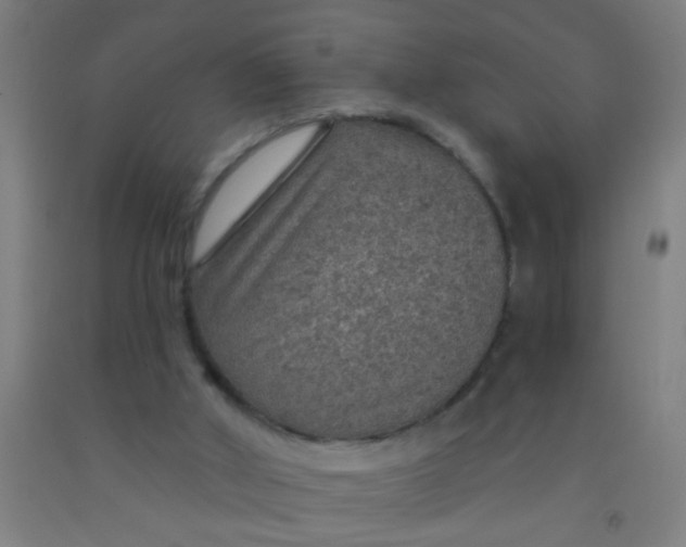 X0000092030010200709271618