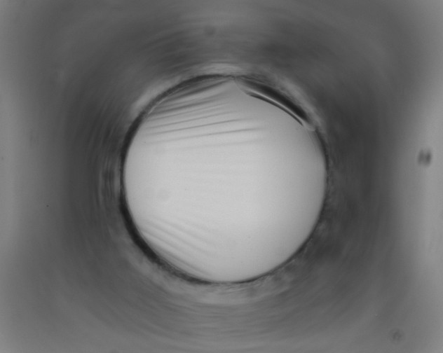 X0000092030011200709271618