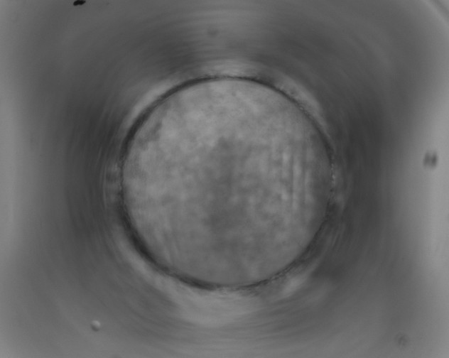 X0000092030012200709271618