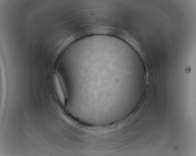 X0000092030013200709271618