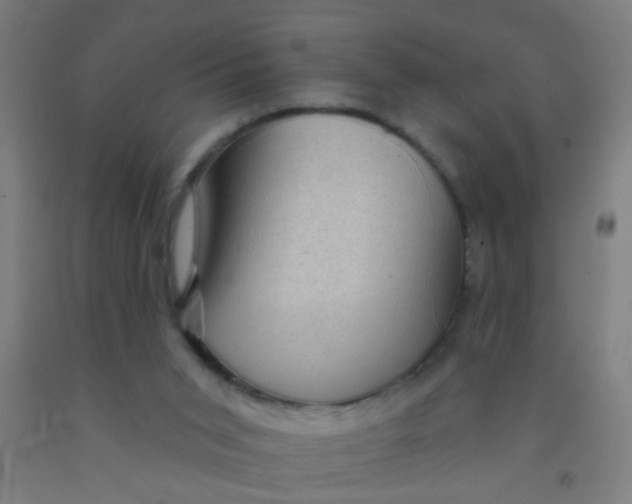 X0000092030015200709271618