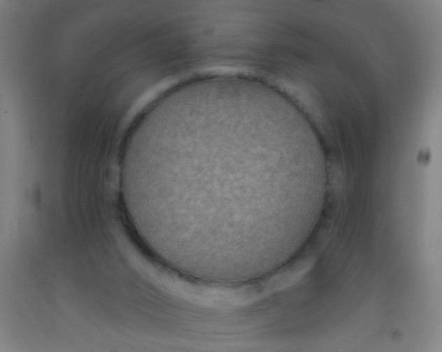 X0000092030016200709271618