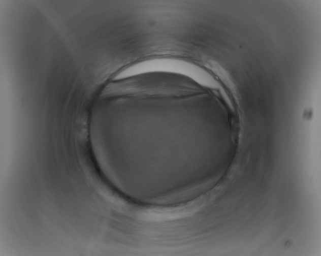 X0000092030017200709271618