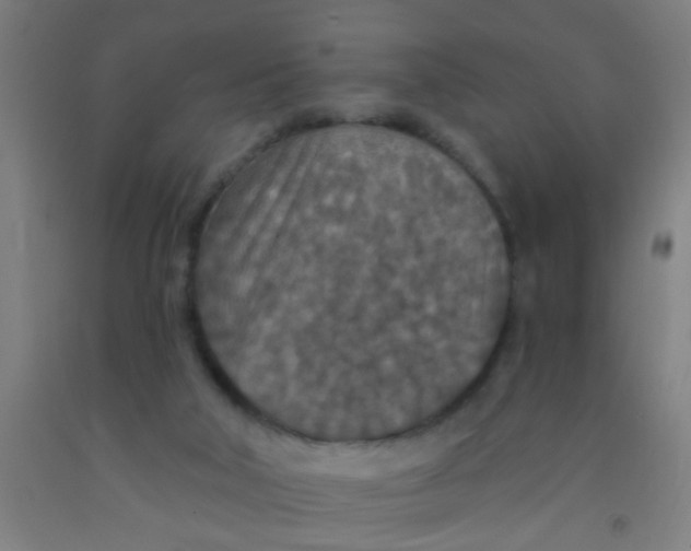 X0000092030018200709271618