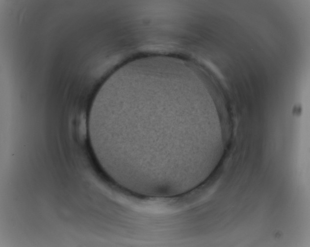 X0000092030020200709271618