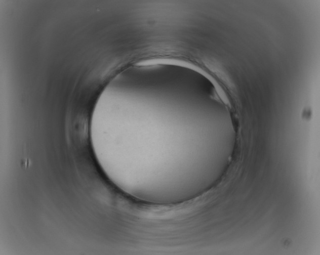 X0000092030021200709271618