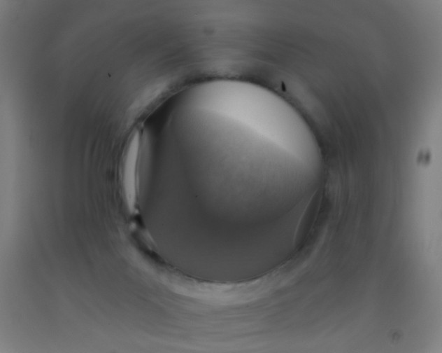 X0000092030023200709271618