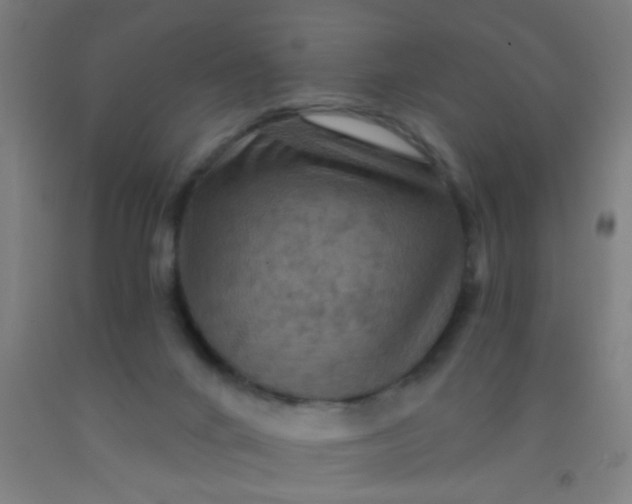 X0000092030024200709271618