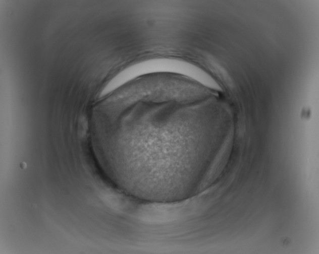 X0000092030025200709271618