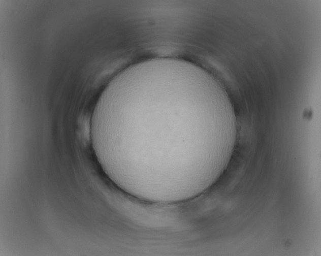 X0000092030028200709271618