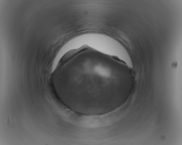 X0000092030029200709271618