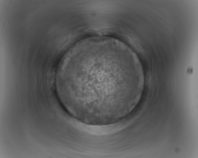 X0000092030030200709271618