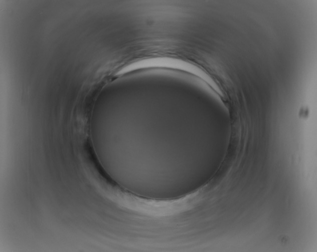 X0000092030031200709271618