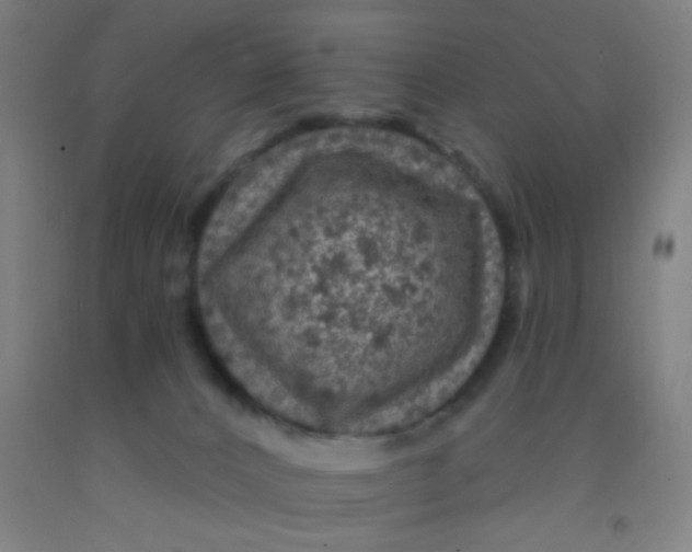 X0000092030032200709271618