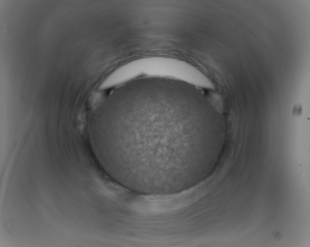 X0000092030033200709271618