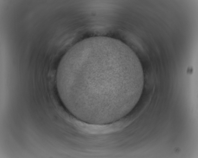 X0000092030034200709271618