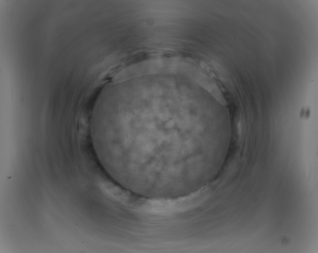 X0000092030037200709271618