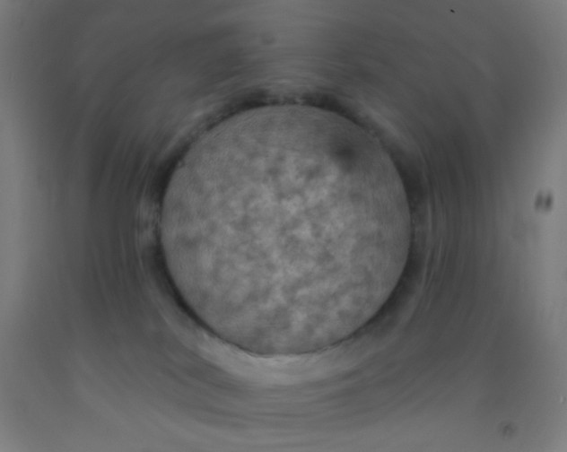 X0000092030038200709271618