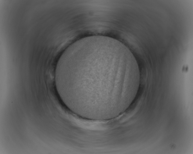 X0000092030040200709271618