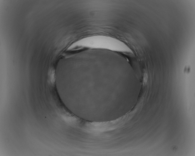 X0000092030041200709271618