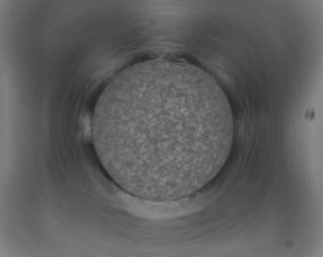 X0000092030042200709271618