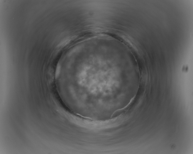 X0000092030043200709271618