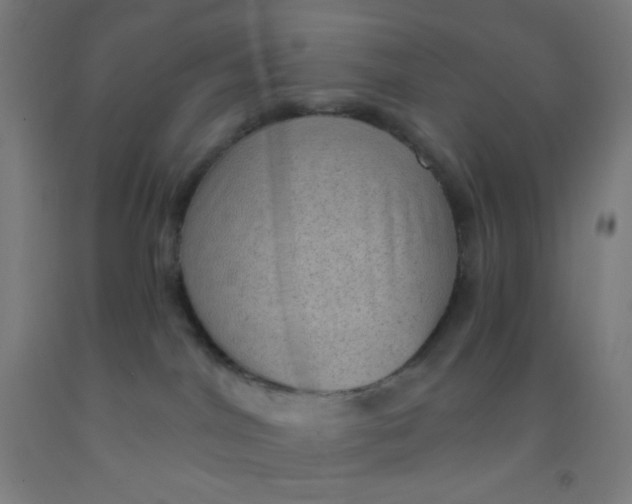 X0000092030044200709271618