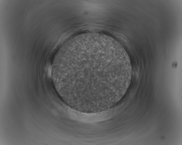 X0000092030046200709271618