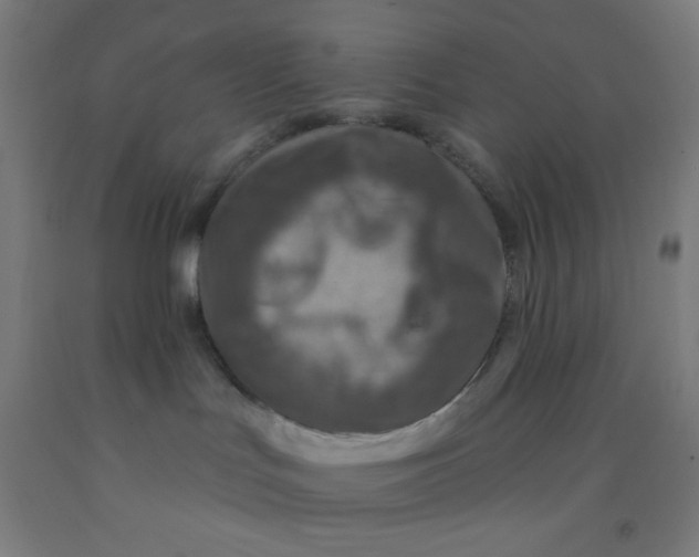 X0000092030047200709271618