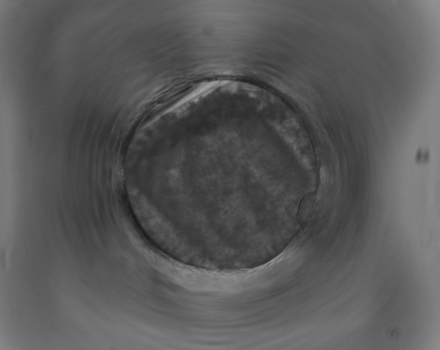 X0000092030048200709271618