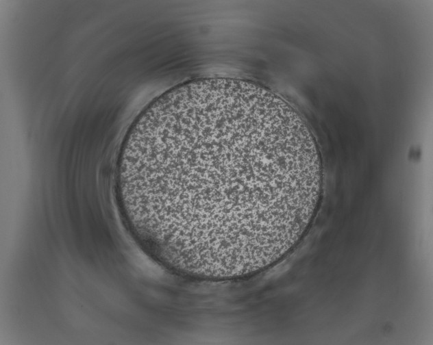 X0000092030049200709271617