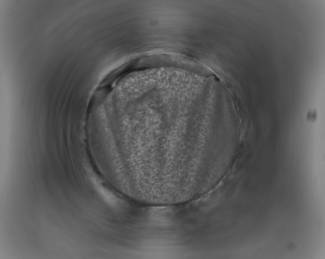 X0000092030050200709271617