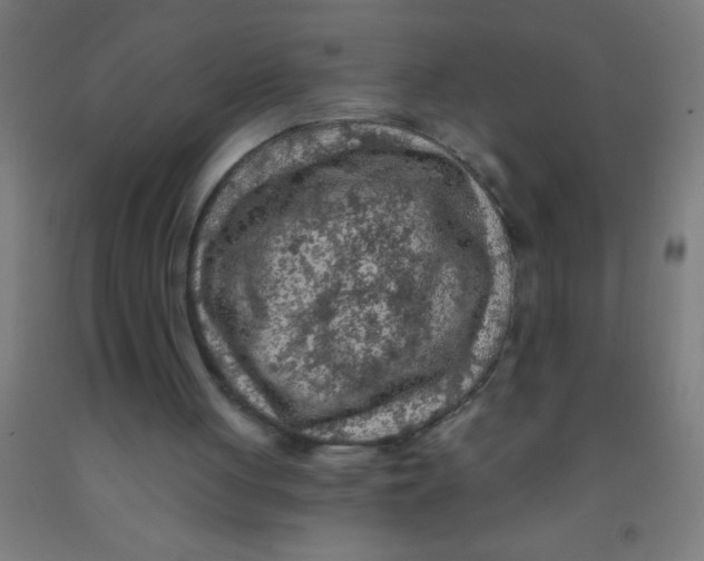 X0000092030051200709271617