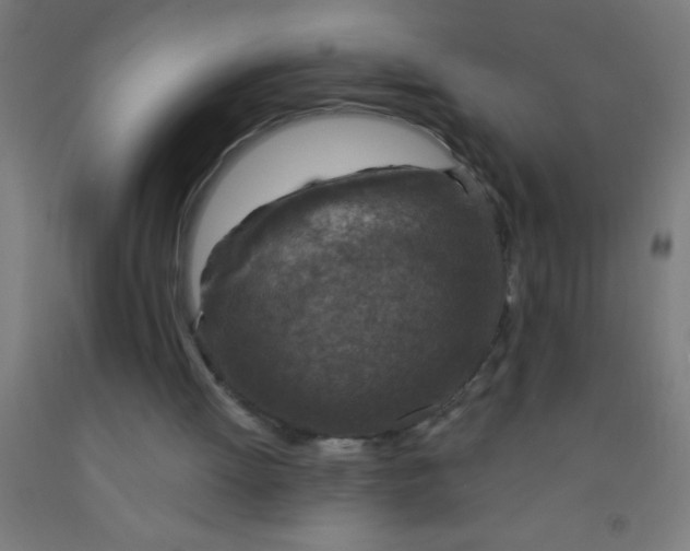 X0000092030052200709271617