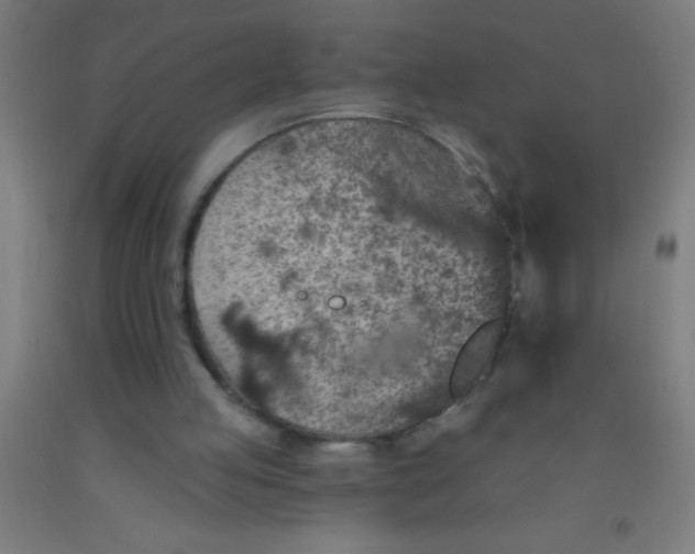 X0000092030053200709271617