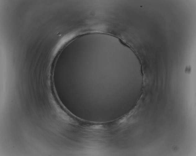 X0000092030054200709271617