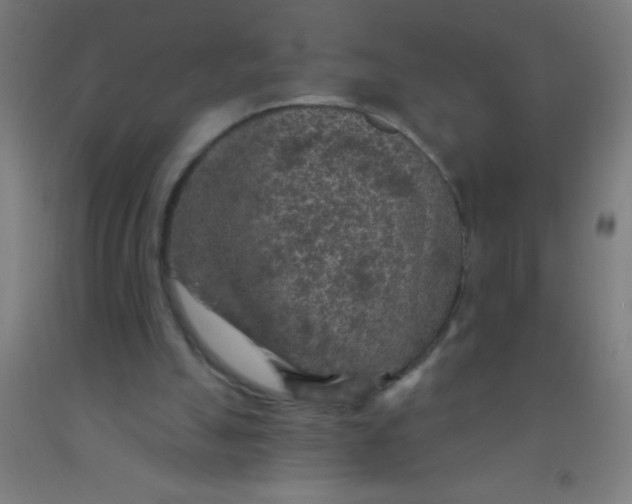 X0000092030055200709271617