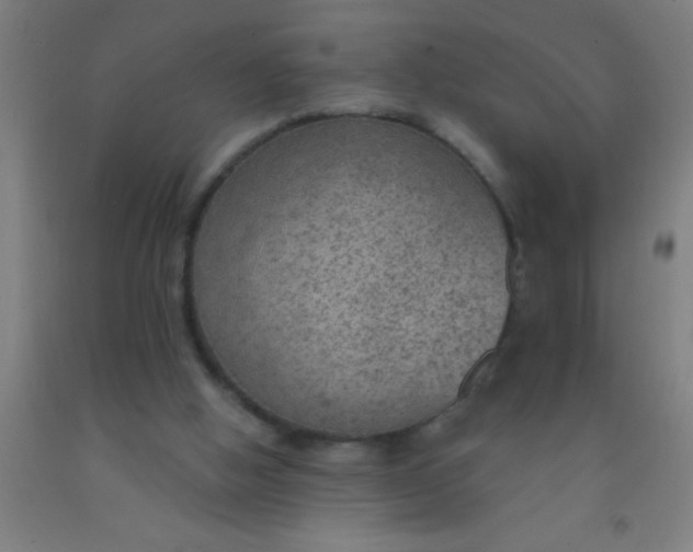 X0000092030058200709271617