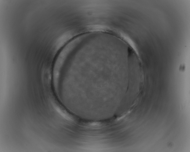 X0000092030059200709271617